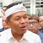 Dedi Mulyadi