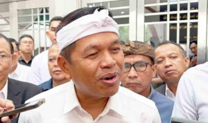 Dedi Mulyadi