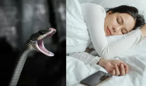Tanda Mimpi Ular