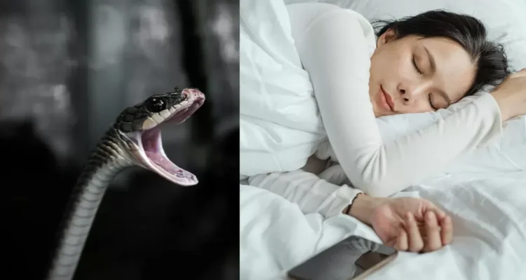Tanda Mimpi Ular