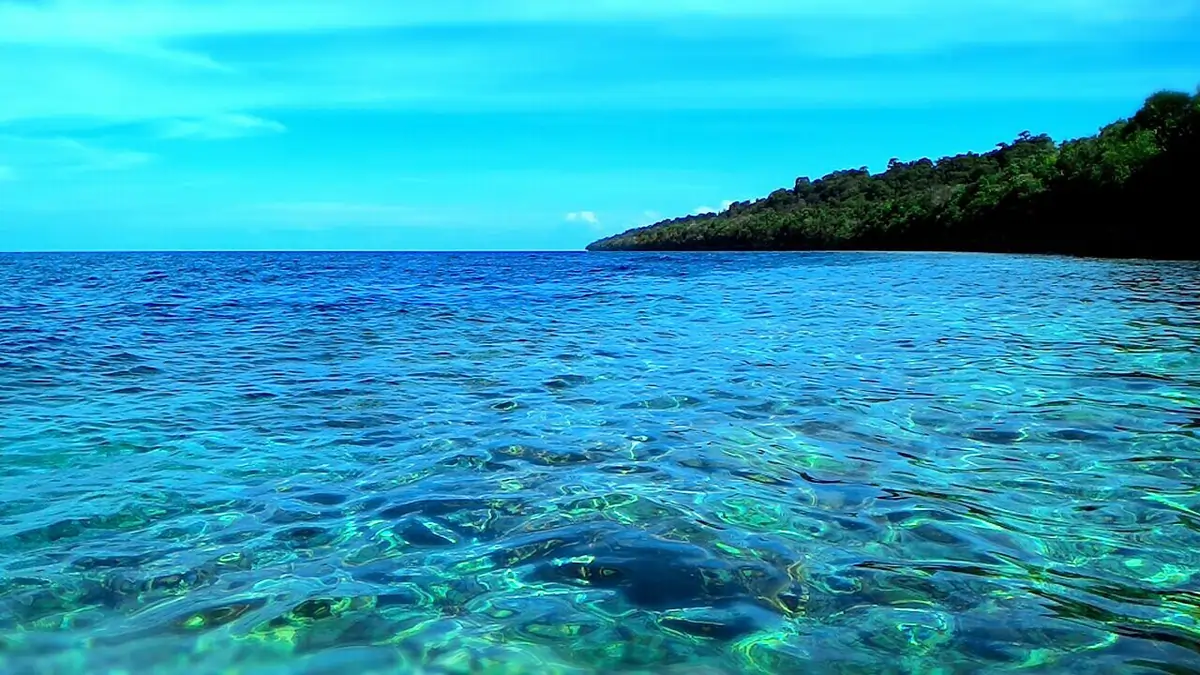 Pulau Derawan Pulau Derawan